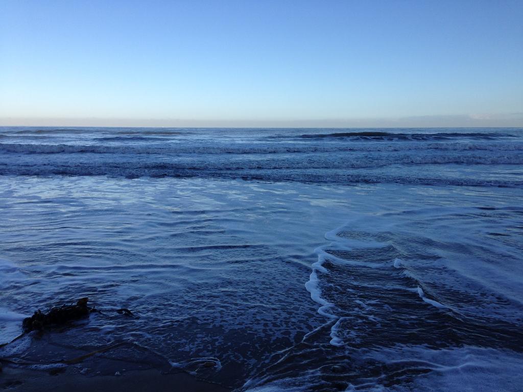 Moonfleet Boutique Hotel Skinningrove エクステリア 写真