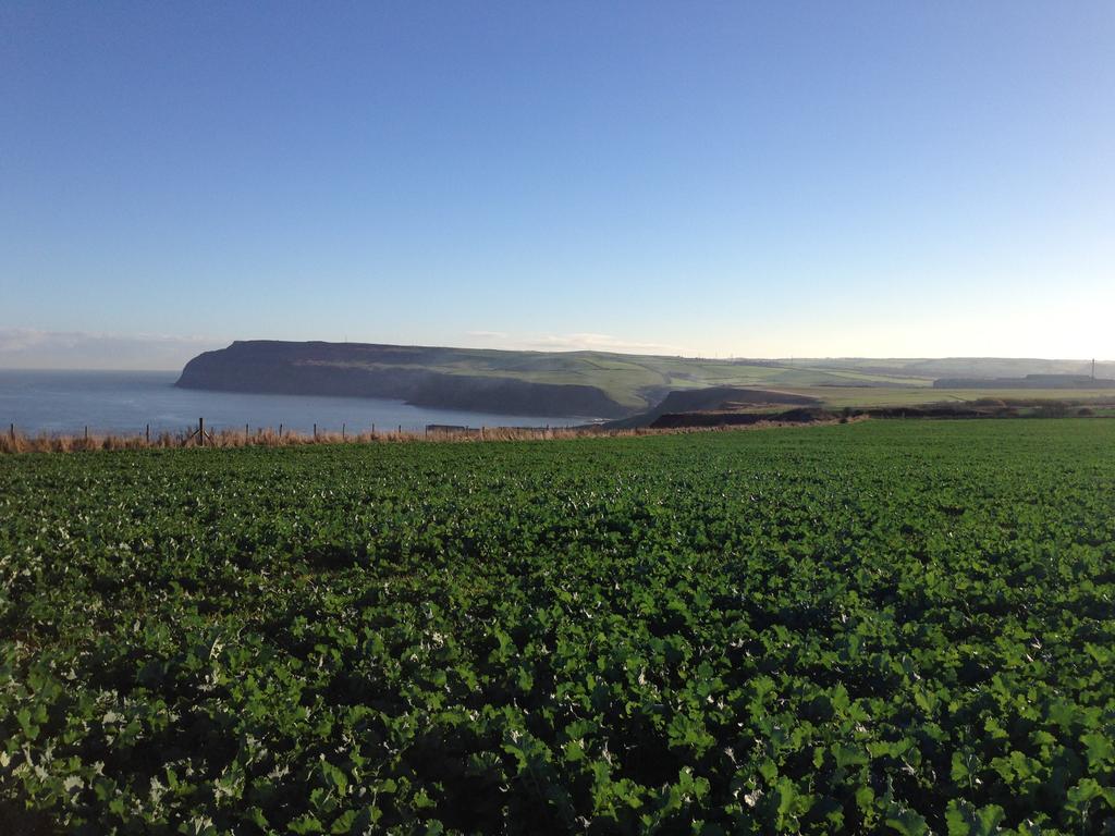 Moonfleet Boutique Hotel Skinningrove エクステリア 写真
